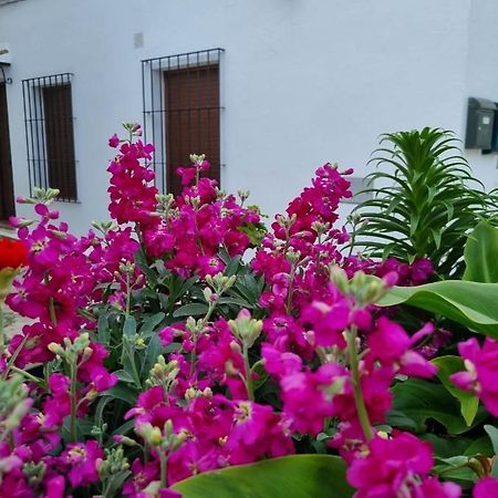 فيلا Casa Francisca En El Casco Antiguo مْبيخير ذي لا فرونتيرا المظهر الخارجي الصورة