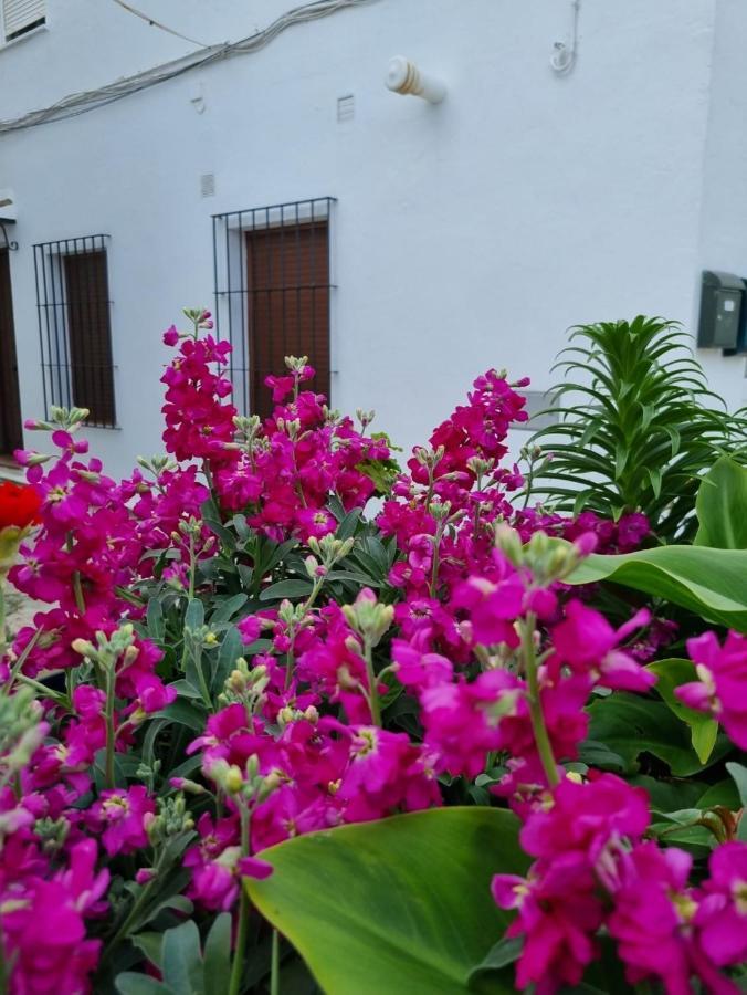 فيلا Casa Francisca En El Casco Antiguo مْبيخير ذي لا فرونتيرا المظهر الخارجي الصورة