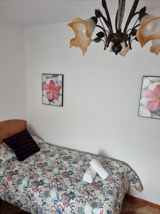 فيلا Casa Francisca En El Casco Antiguo مْبيخير ذي لا فرونتيرا المظهر الخارجي الصورة